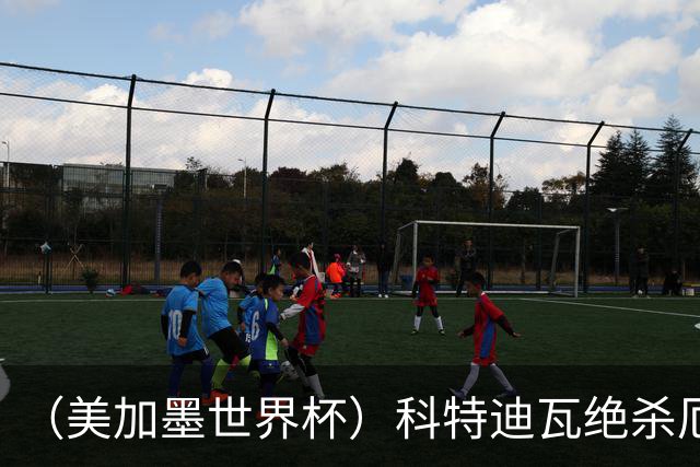 （美加墨世界杯）科特迪瓦绝杀厄瓜多尔 瑞典5:1大胜突尼斯